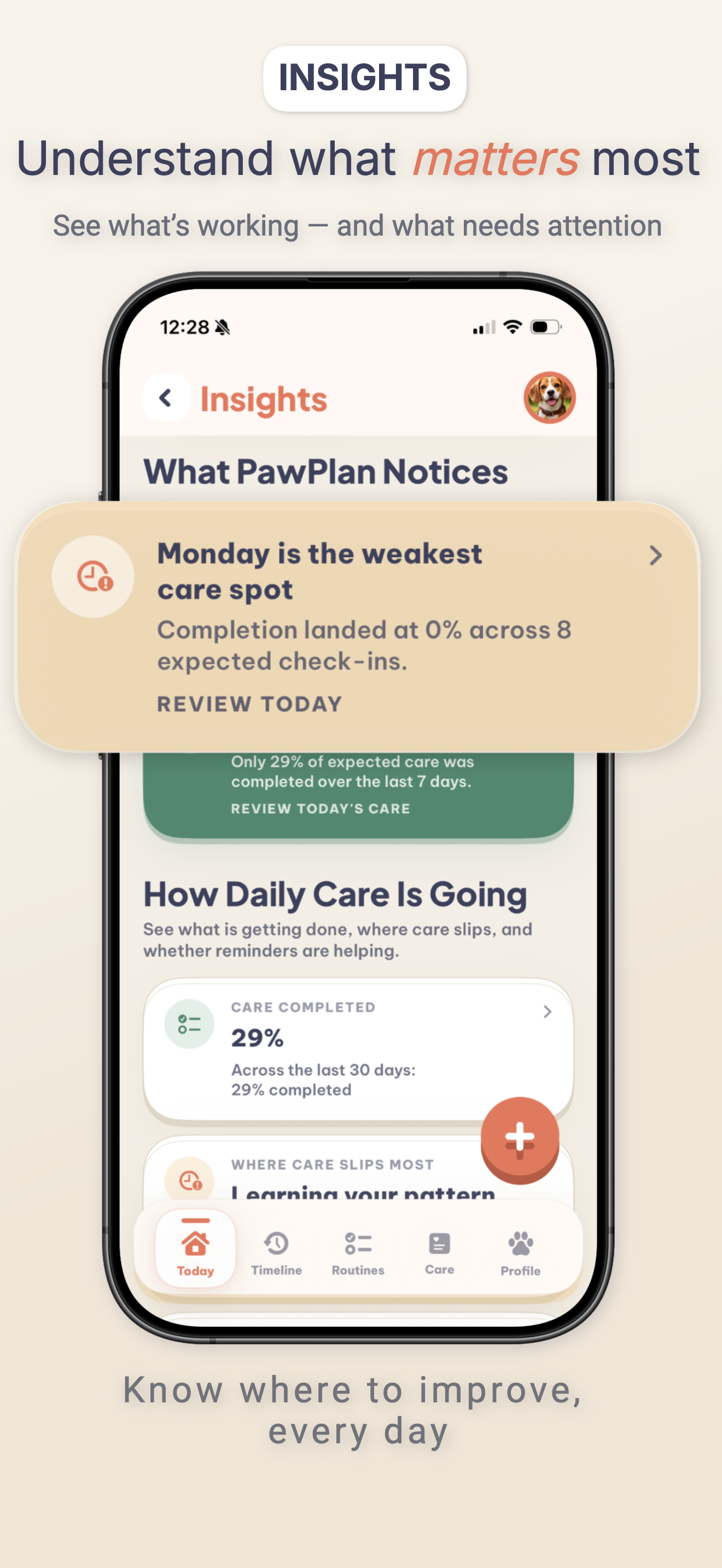 PawPlan Insights screen highlighting care patterns.